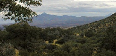 San Jose Peak, Mexico, from the cave trail in Coronado National Memorial